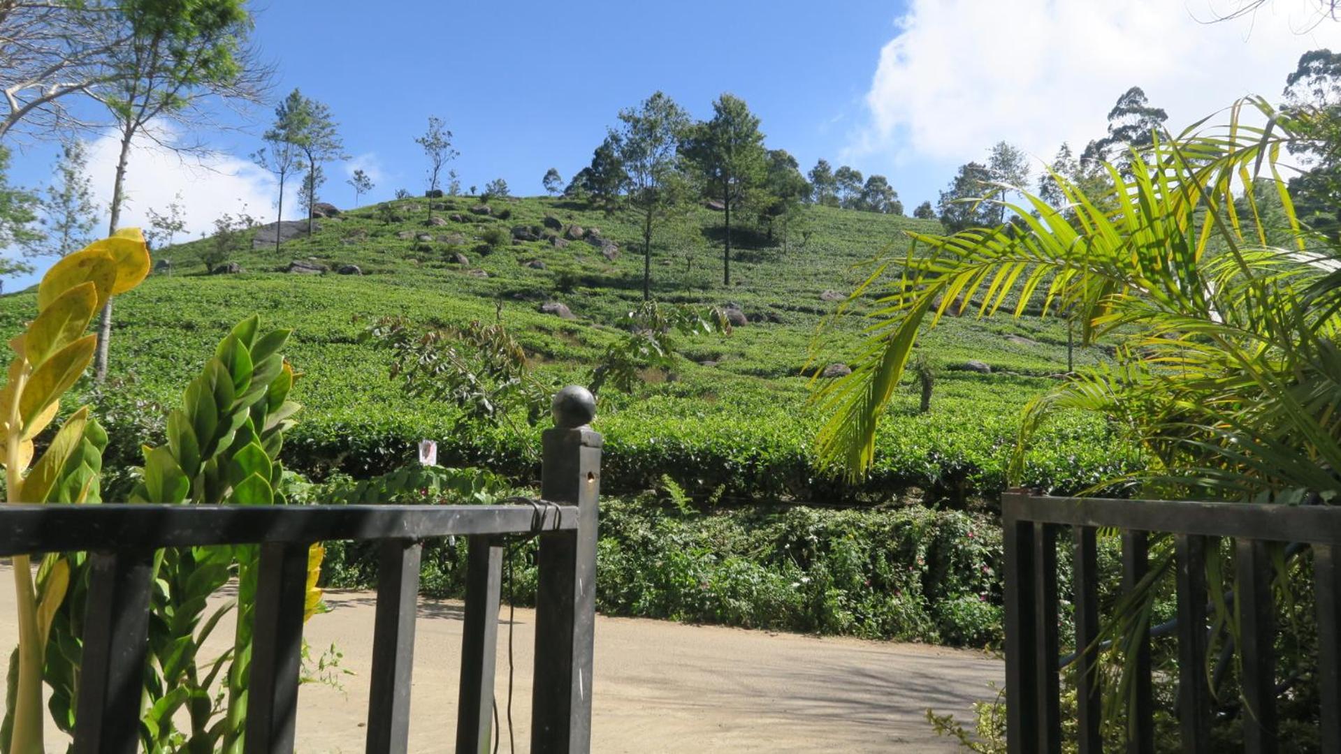 Nilowin Glenanore Guesthouse Haputale Buitenkant foto